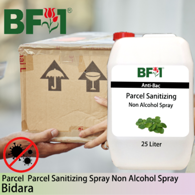 Anti-Bac Parcel Sanitizing Spray Non Alcohol (ABPS) - Bidara - 25L