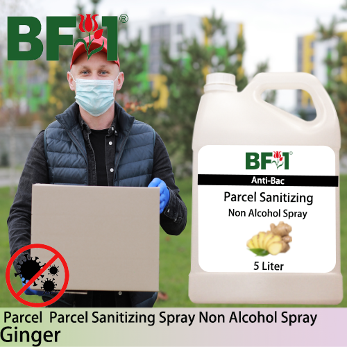Anti-Bac Parcel Sanitizing Spray Non Alcohol (ABPS) - Ginger - 5L