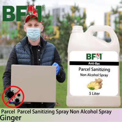 Anti-Bac Parcel Sanitizing Spray Non Alcohol (ABPS) - Ginger - 5L