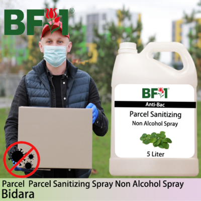 Anti-Bac Parcel Sanitizing Spray Non Alcohol (ABPS) - Bidara - 5L
