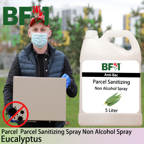 Anti-Bac Parcel Sanitizing Spray Non Alcohol (ABPS) - Eucalyptus - 5L
