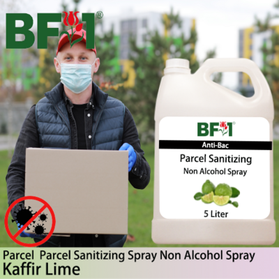 Anti-Bac Parcel Sanitizing Spray Non Alcohol (ABPS) - lime - Kaffir Lime - 5L