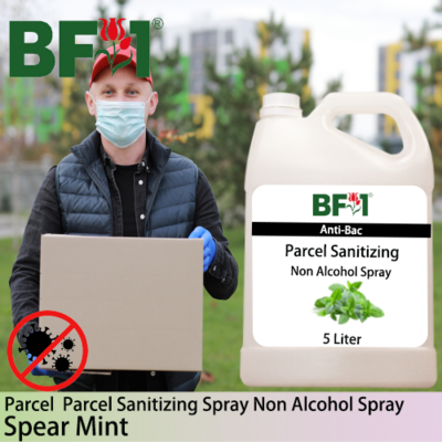 Anti-Bac Parcel Sanitizing Spray Non Alcohol (ABPS) - mint - Spear Mint - 5L