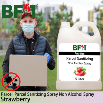 Anti-Bac Parcel Sanitizing Spray Non Alcohol (ABPS) - Strawberry - 5L
