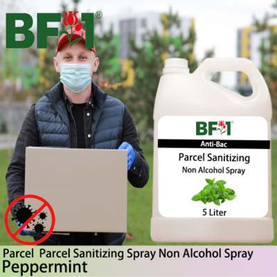 Anti-Bac Parcel Sanitizing Spray Non Alcohol (ABPS) - mint - Peppermint - 5L