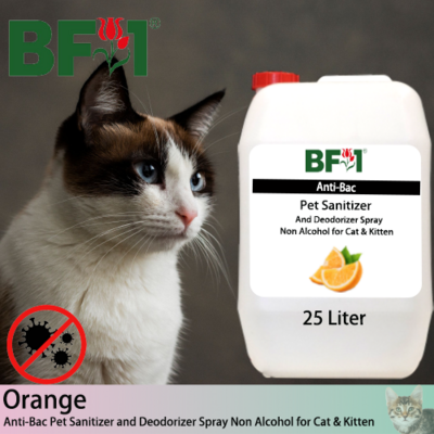Anti-Bac Pet Sanitizer and Deodorizer Spray (ABPSD-Cat) - Non Alcohol with Orange - 25L for Cat and Kitten