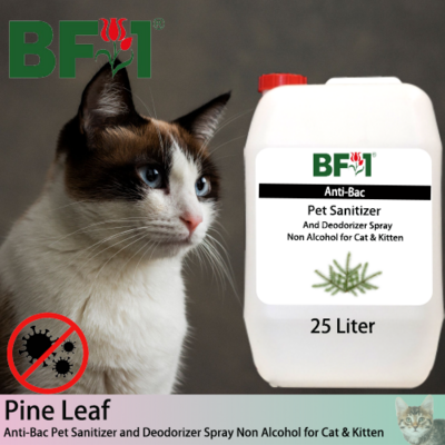 Anti-Bac Pet Sanitizer and Deodorizer Spray (ABPSD-Cat) - Non Alcohol with Pine Leaf - 25L for Cat and Kitten