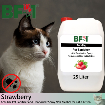Anti-Bac Pet Sanitizer and Deodorizer Spray (ABPSD-Cat) - Non Alcohol with Strawberry - 25L for Cat and Kitten