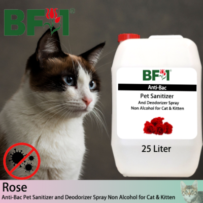 Anti-Bac Pet Sanitizer and Deodorizer Spray (ABPSD-Cat) - Non Alcohol with Rose - 25L for Cat and Kitten