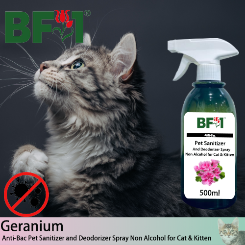 Anti-Bac Pet Sanitizer and Deodorizer Spray (ABPSD-Cat) - Non Alcohol with Geranium - 500ml for Cat and Kitten