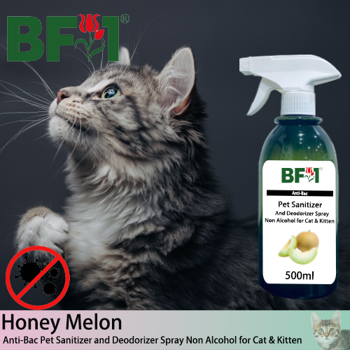 Anti-Bac Pet Sanitizer and Deodorizer Spray (ABPSD-Cat) - Non Alcohol with Honey Melon - 500ml for Cat and Kitten