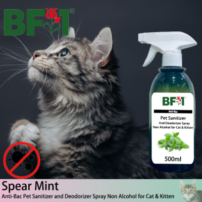 Anti-Bac Pet Sanitizer and Deodorizer Spray (ABPSD-Cat) - Non Alcohol with mint - Spear Mint - 500ml for Cat and Kitten