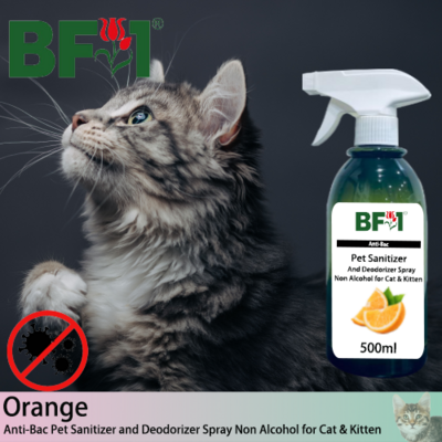 Anti-Bac Pet Sanitizer and Deodorizer Spray (ABPSD-Cat) - Non Alcohol with Orange - 500ml for Cat and Kitten