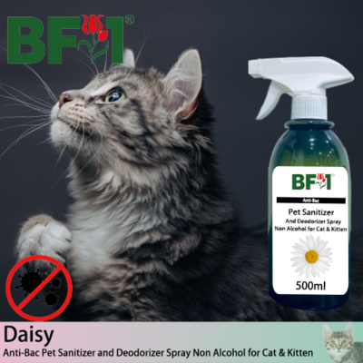 Anti-Bac Pet Sanitizer and Deodorizer Spray (ABPSD-Cat) - Non Alcohol with Daisy - 500ml for Cat and Kitten