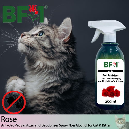 Anti-Bac Pet Sanitizer and Deodorizer Spray (ABPSD-Cat) - Non Alcohol with Rose - 500ml for Cat and Kitten