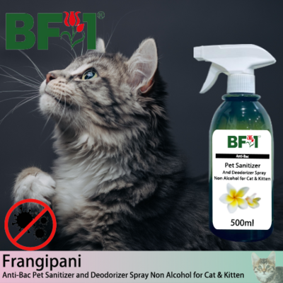 Anti-Bac Pet Sanitizer and Deodorizer Spray (ABPSD-Cat) - Non Alcohol with Frangipani - 500ml for Cat and Kitten