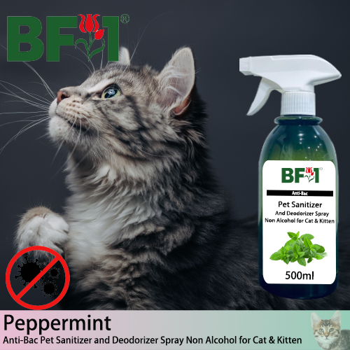 Anti-Bac Pet Sanitizer and Deodorizer Spray (ABPSD-Cat) - Non Alcohol with mint - Peppermint - 500ml for Cat and Kitten