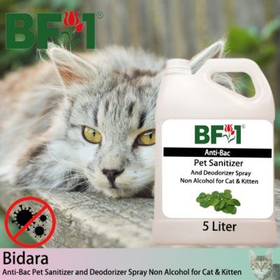 Anti-Bac Pet Sanitizer and Deodorizer Spray (ABPSD-Cat) - Non Alcohol with Bidara - 5L for Cat and Kitten