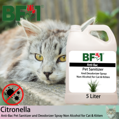 Anti-Bac Pet Sanitizer and Deodorizer Spray (ABPSD-Cat) - Non Alcohol with Citronella - 5L for Cat and Kitten