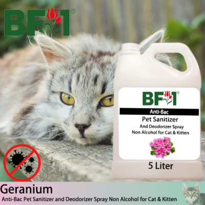 Anti-Bac Pet Sanitizer and Deodorizer Spray (ABPSD-Cat) - Non Alcohol with Geranium - 5L for Cat and Kitten
