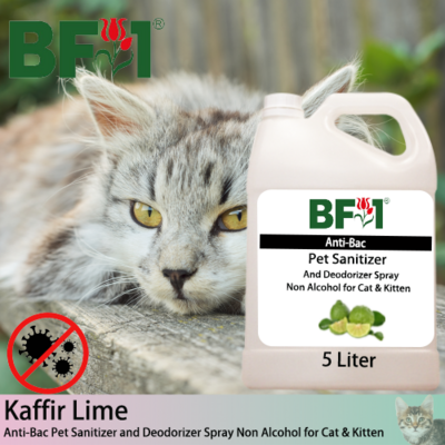 Anti-Bac Pet Sanitizer and Deodorizer Spray (ABPSD-Cat) - Non Alcohol with lime - Kaffir Lime - 5L for Cat and Kitten