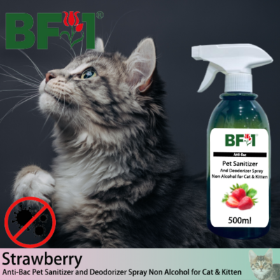 Anti-Bac Pet Sanitizer and Deodorizer Spray (ABPSD-Cat) - Non Alcohol with Strawberry - 500ml for Cat and Kitten