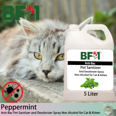 Anti-Bac Pet Sanitizer and Deodorizer Spray (ABPSD-Cat) - Non Alcohol with mint - Peppermint - 5L for Cat and Kitten