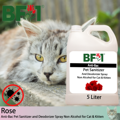 Anti-Bac Pet Sanitizer and Deodorizer Spray (ABPSD-Cat) - Non Alcohol with Rose - 5L for Cat and Kitten