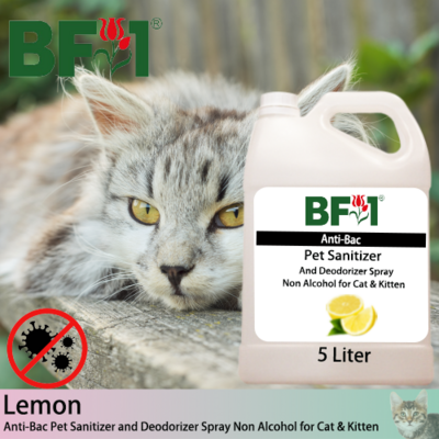 Anti-Bac Pet Sanitizer and Deodorizer Spray (ABPSD-Cat) - Non Alcohol with Lemon - 5L for Cat and Kitten