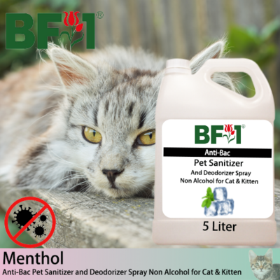 Anti-Bac Pet Sanitizer and Deodorizer Spray (ABPSD-Cat) - Non Alcohol with Menthol - 5L for Cat and Kitten