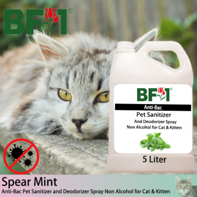 Anti-Bac Pet Sanitizer and Deodorizer Spray (ABPSD-Cat) - Non Alcohol with mint - Spear Mint - 5L for Cat and Kitten