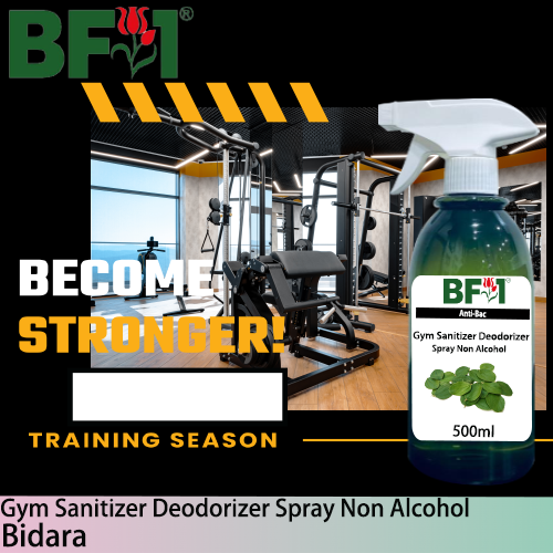(ABGSD) Bidara Anti-Bac Gym Sanitizer Deodorizer Spray - Non Alcohol - 500ml