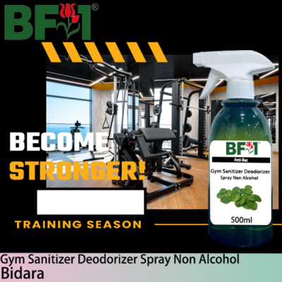 (ABGSD) Bidara Anti-Bac Gym Sanitizer Deodorizer Spray - Non Alcohol - 500ml