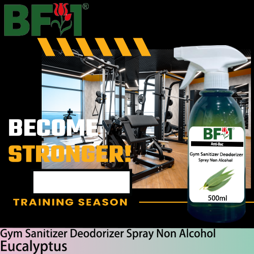 (ABGSD) Eucalyptus Anti-Bac Gym Sanitizer Deodorizer Spray - Non Alcohol - 500ml