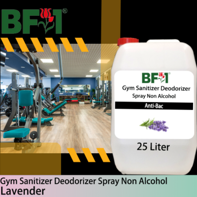 (ABGSD) Lavender Anti-Bac Gym Sanitizer Deodorizer Spray - Non Alcohol - 25L