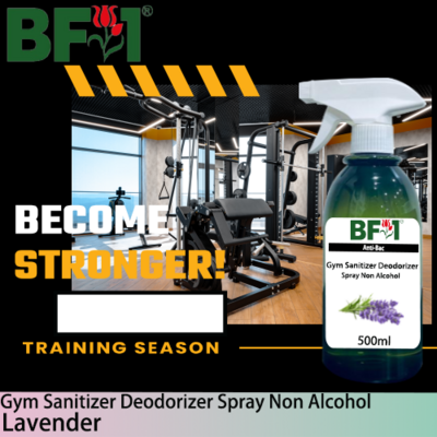 (ABGSD) Lavender Anti-Bac Gym Sanitizer Deodorizer Spray - Non Alcohol - 500ml