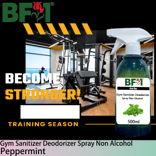 (ABGSD) mint - Peppermint Anti-Bac Gym Sanitizer Deodorizer Spray - Non Alcohol - 500ml