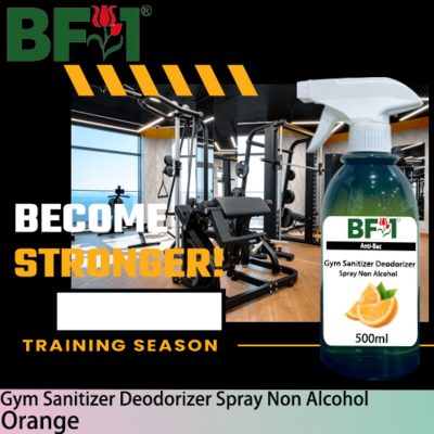 (ABGSD) Orange Anti-Bac Gym Sanitizer Deodorizer Spray - Non Alcohol - 500ml