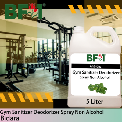 (ABGSD) Bidara Anti-Bac Gym Sanitizer Deodorizer Spray - Non Alcohol - 5L
