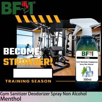 (ABGSD) Menthol Anti-Bac Gym Sanitizer Deodorizer Spray - Non Alcohol - 500ml