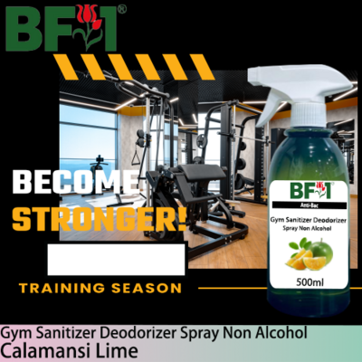 (ABGSD) lime - Calamansi Lime Anti-Bac Gym Sanitizer Deodorizer Spray - Non Alcohol - 500ml