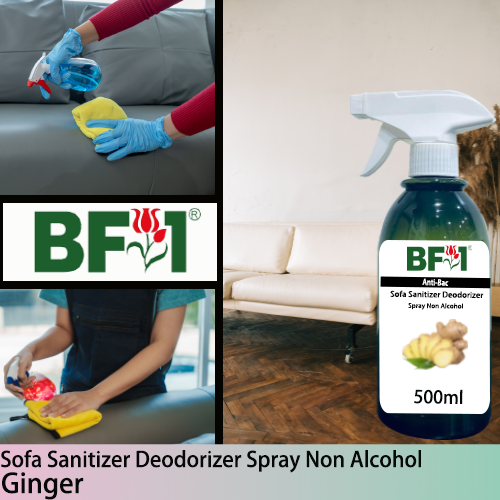 (ABSSD1) Ginger Anti-Bac Sofa Sanitizer Deodorizer Spray - Non Alcohol - 500ml
