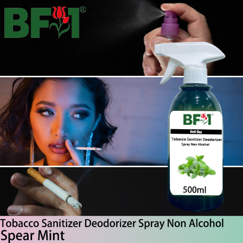 (ABTSD1) mint - Spear Mint Anti-Bac Tobacco Sanitizer Deodorizer Spray - Non Alcohol - 500ml