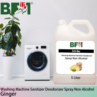 (ABWMSD) Ginger Anti-Bac Washing Machine Sanitizer Deodorizer Spray - Non Alcohol - 5L