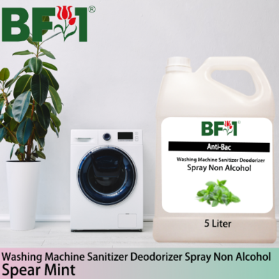 (ABWMSD) mint - Spear Mint Anti-Bac Washing Machine Sanitizer Deodorizer Spray - Non Alcohol - 5L