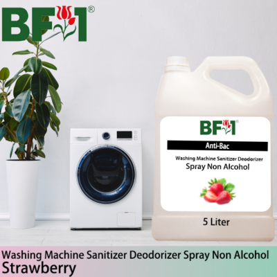 (ABWMSD) Strawberry Anti-Bac Washing Machine Sanitizer Deodorizer Spray - Non Alcohol - 5L