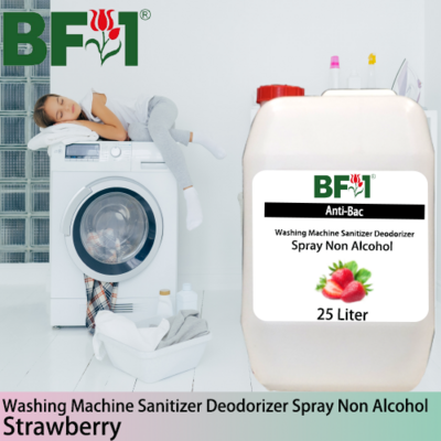 (ABWMSD) Strawberry Anti-Bac Washing Machine Sanitizer Deodorizer Spray - Non Alcohol - 25L