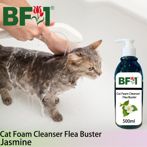 Cat Foam Cleanser Flea Buster (CFC-Cat) - Jasmine - 500ml ⭐⭐⭐⭐⭐