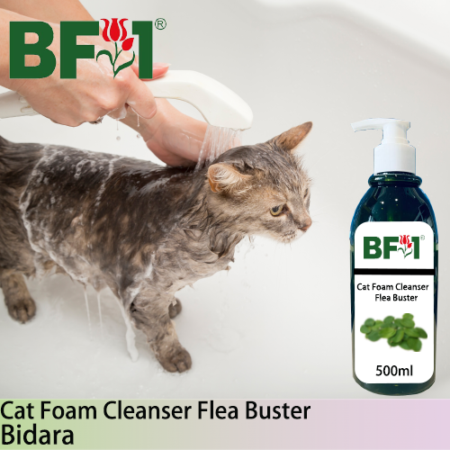 Cat Foam Cleanser Flea Buster (CFC-Cat) - Bidara - 500ml ⭐⭐⭐⭐⭐