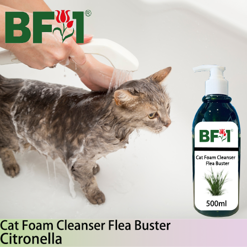 Cat Foam Cleanser Flea Buster (CFC-Cat) - Citronella - 500ml ⭐⭐⭐⭐⭐